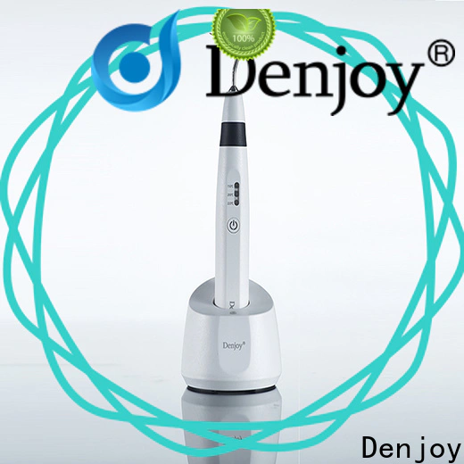 Denjoy Custom obturation system Supply for dentist clinic
