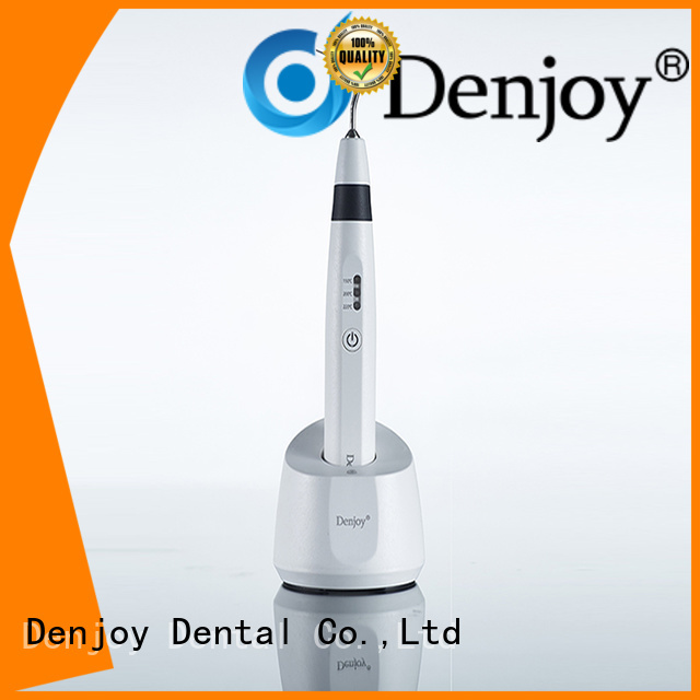 Denjoy Custom root canal obturation Supply for dentist clinic